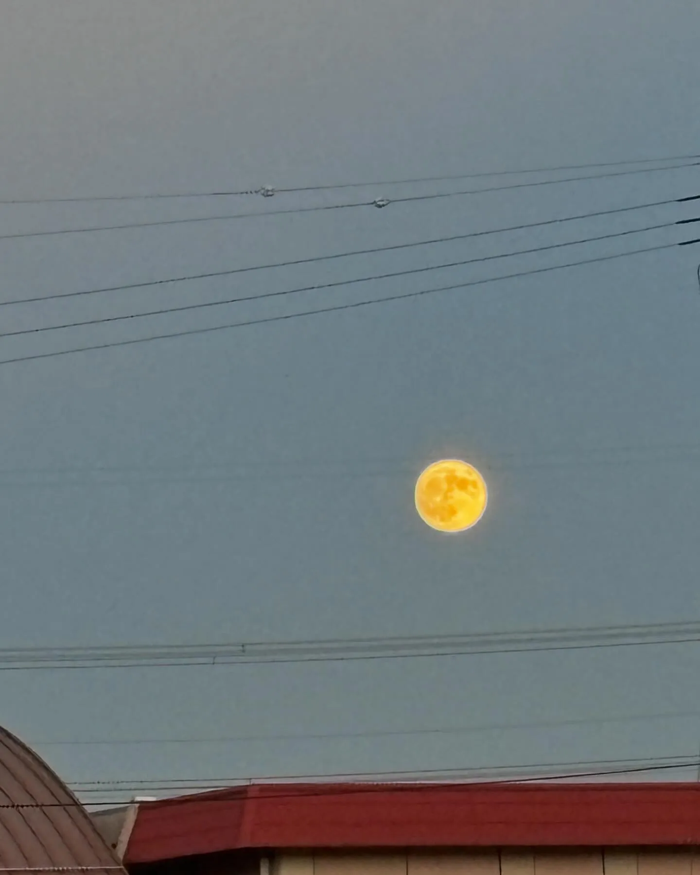 今日は中秋の名月🌕